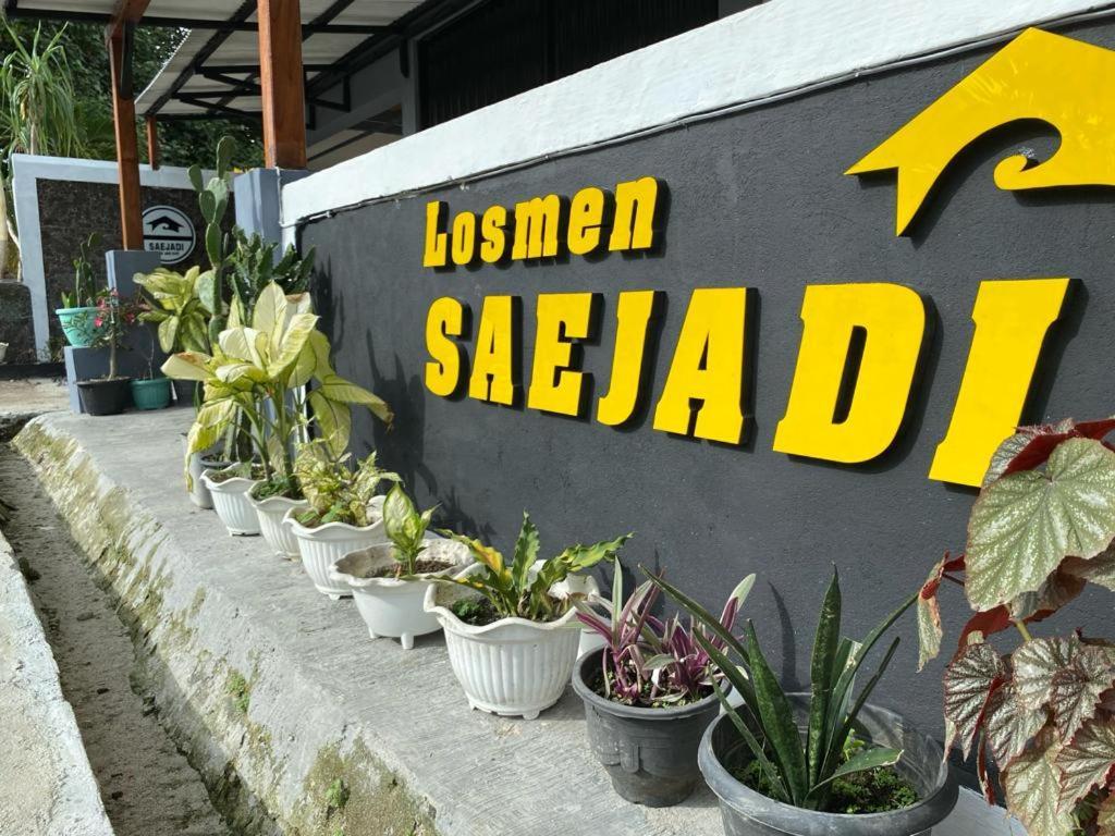 Krui Saejadi Surf And Stay Exterior foto